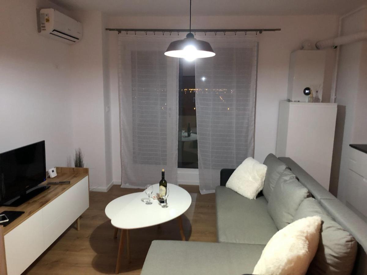 Chronos Apartment - Modern And Stylish Timisoara Bagian luar foto